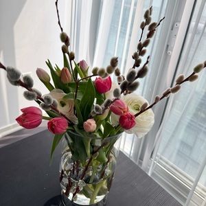 Meet your Posher, Seniha